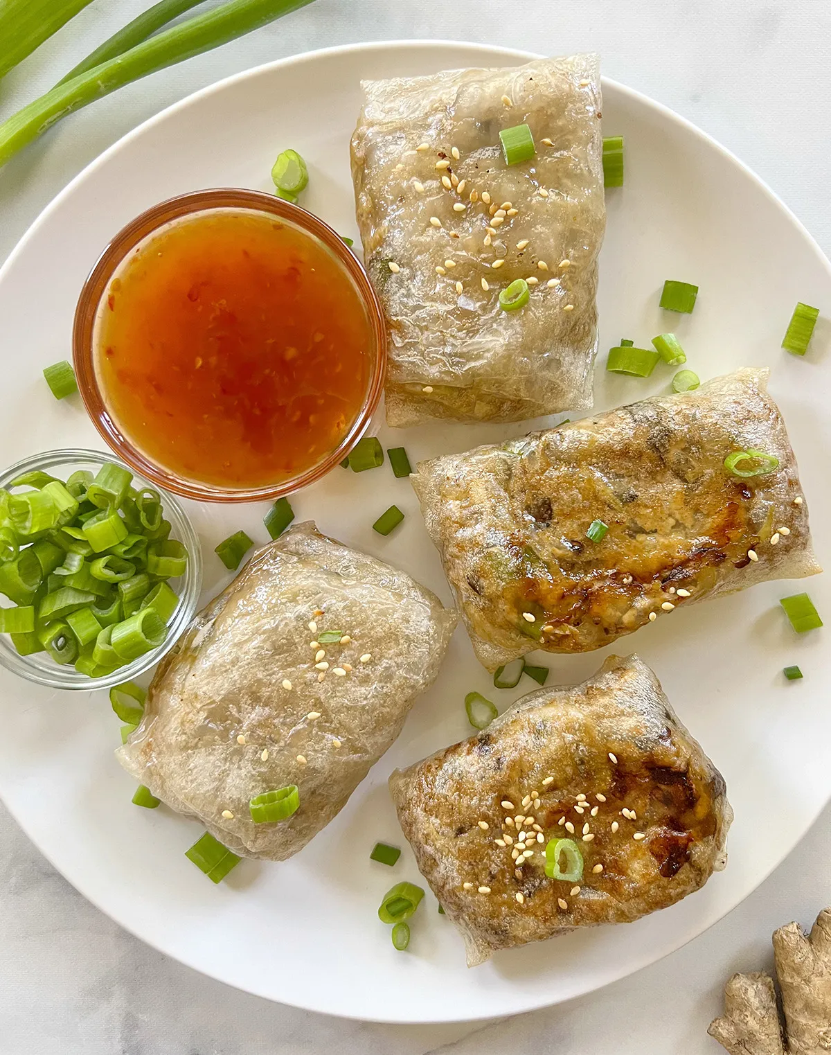 Air Fryer Rice Paper Dumplings