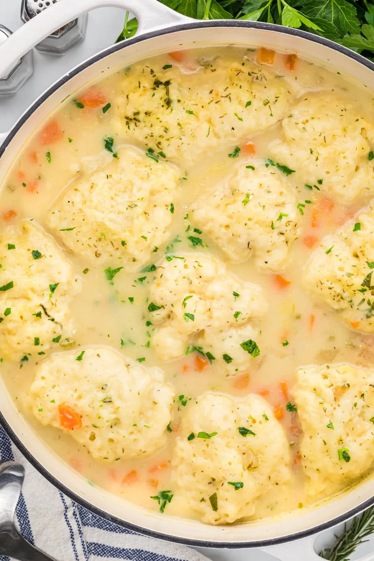 Homemade Chicken and Dumpling Soup