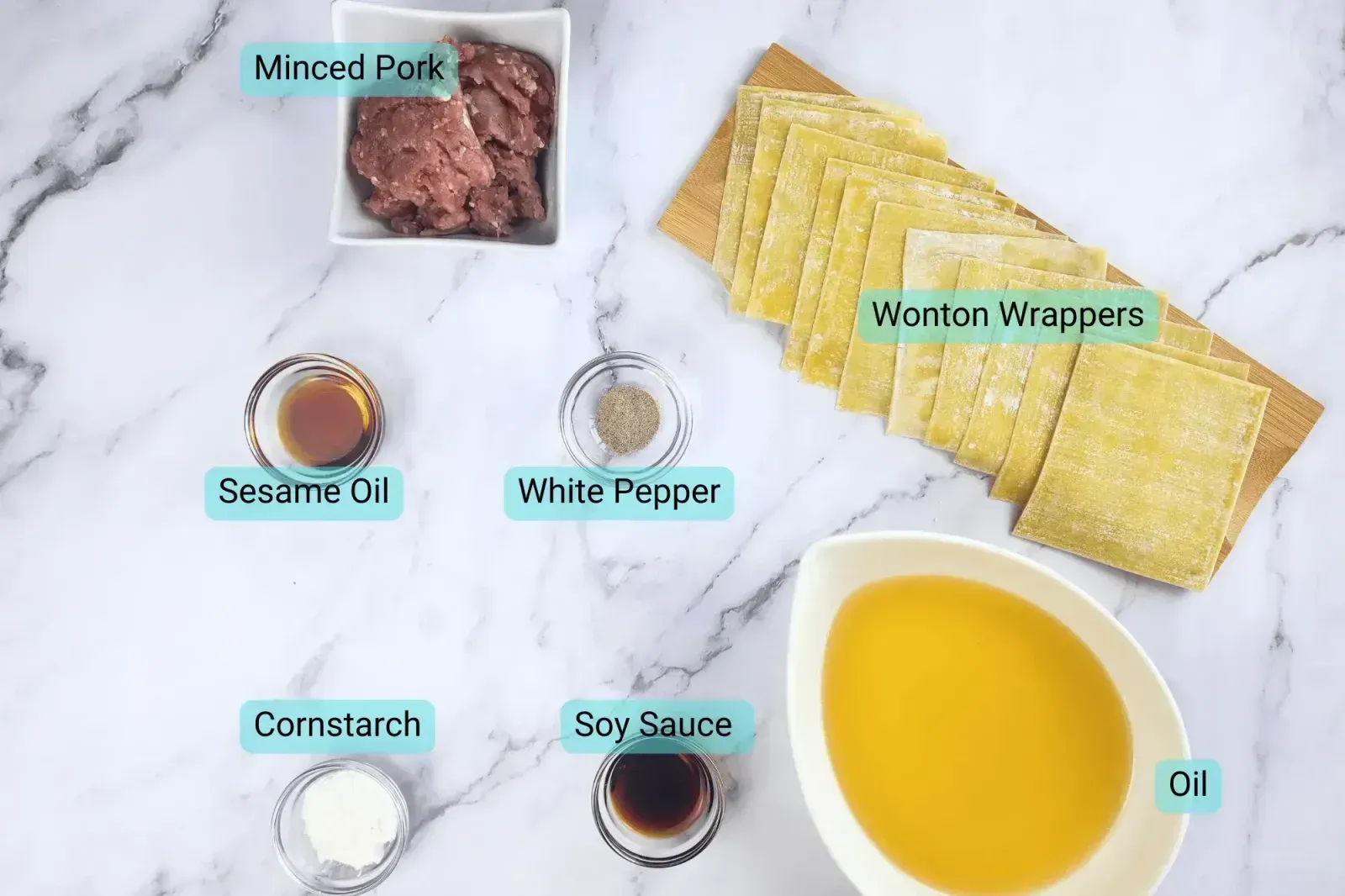 Ingredients for Crispy Fried Wonton Recipe