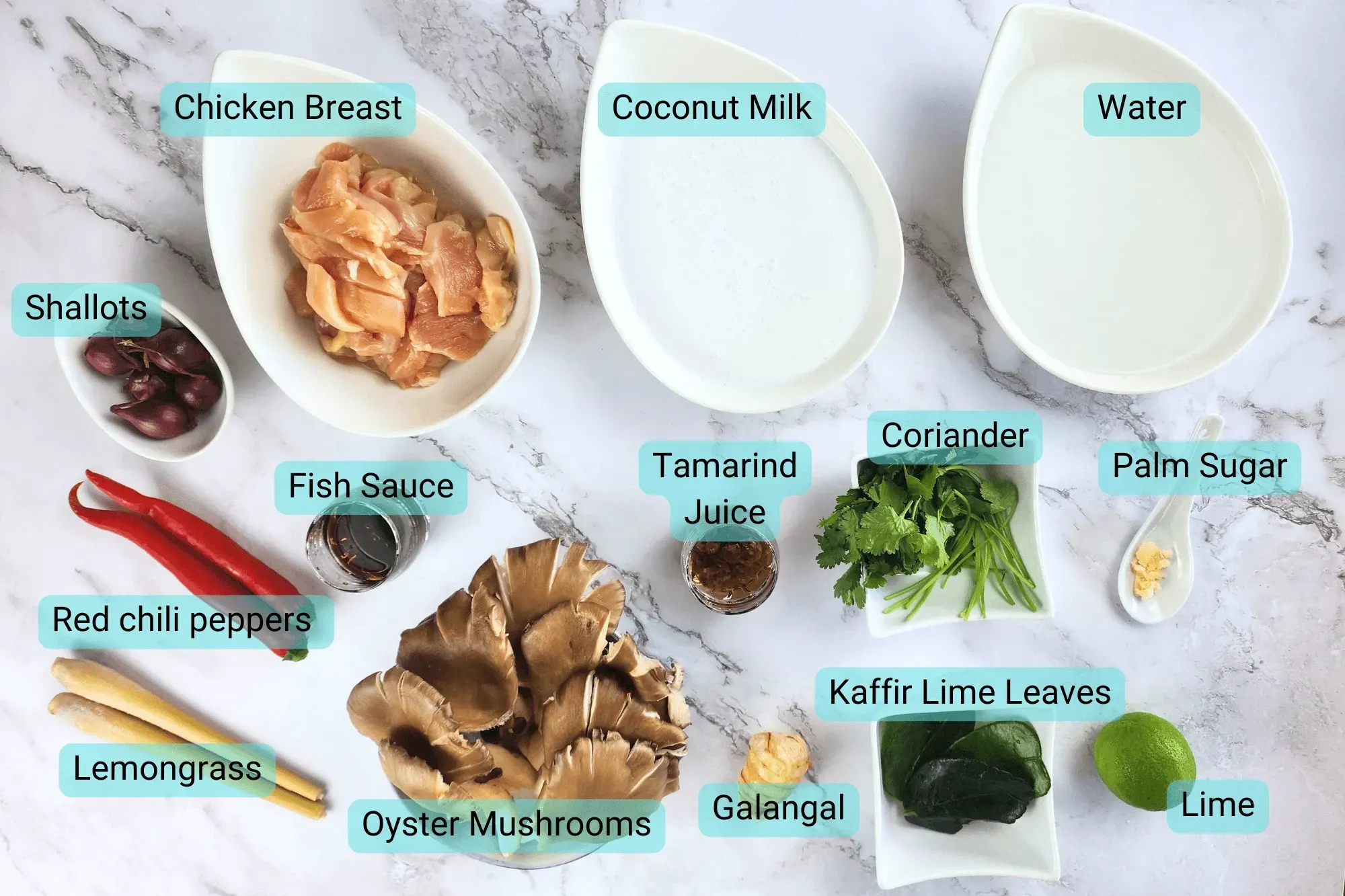 Ingredients for Chicken Coconut Soup (Tom Kha Gai)