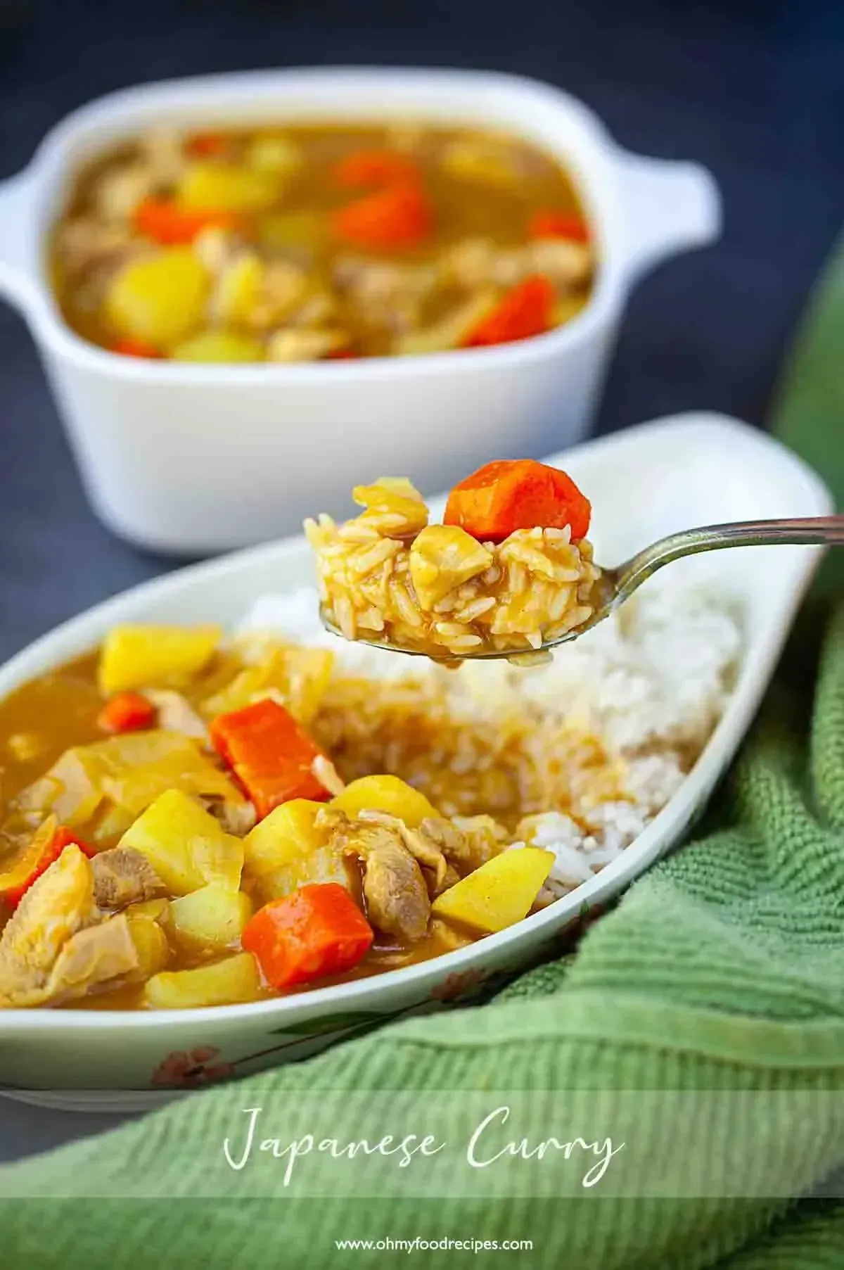 Japanese Chicken Curry