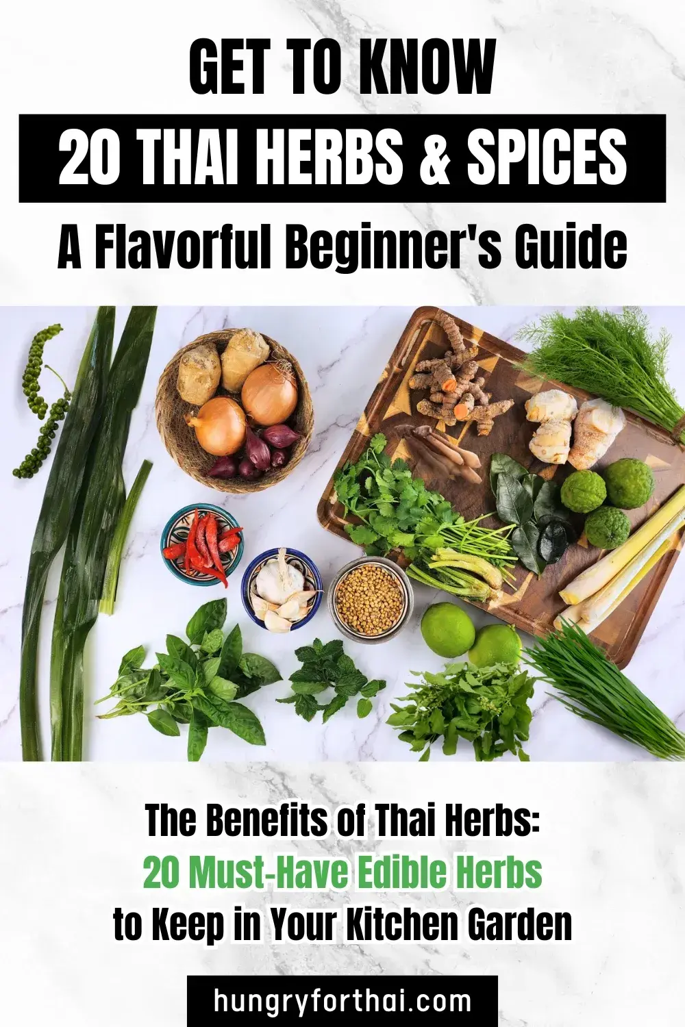 Get to Know 20 Thai Herbs & Spices: A Flavorful Beginner's Guide