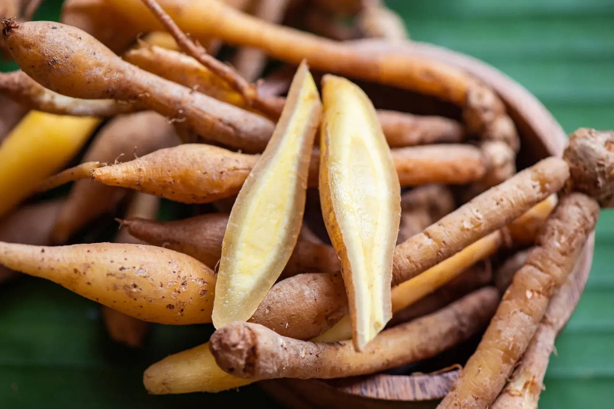 Fingerroot (กระชาย) Fingerroot (กระชาย)