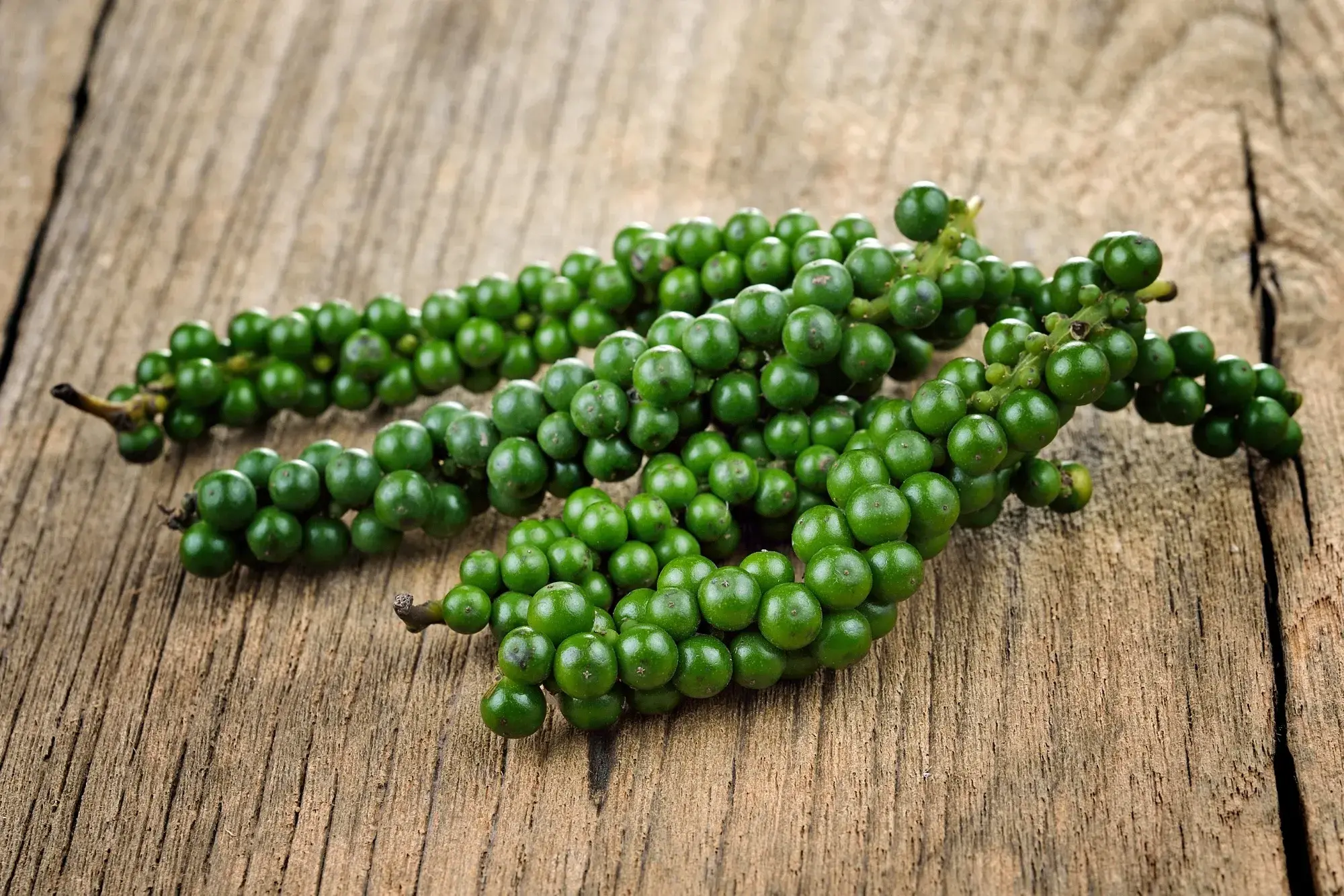 Fresh Green Peppercorns (พริกไทยสด) Fresh Green Peppercorns (พริกไทยสด)