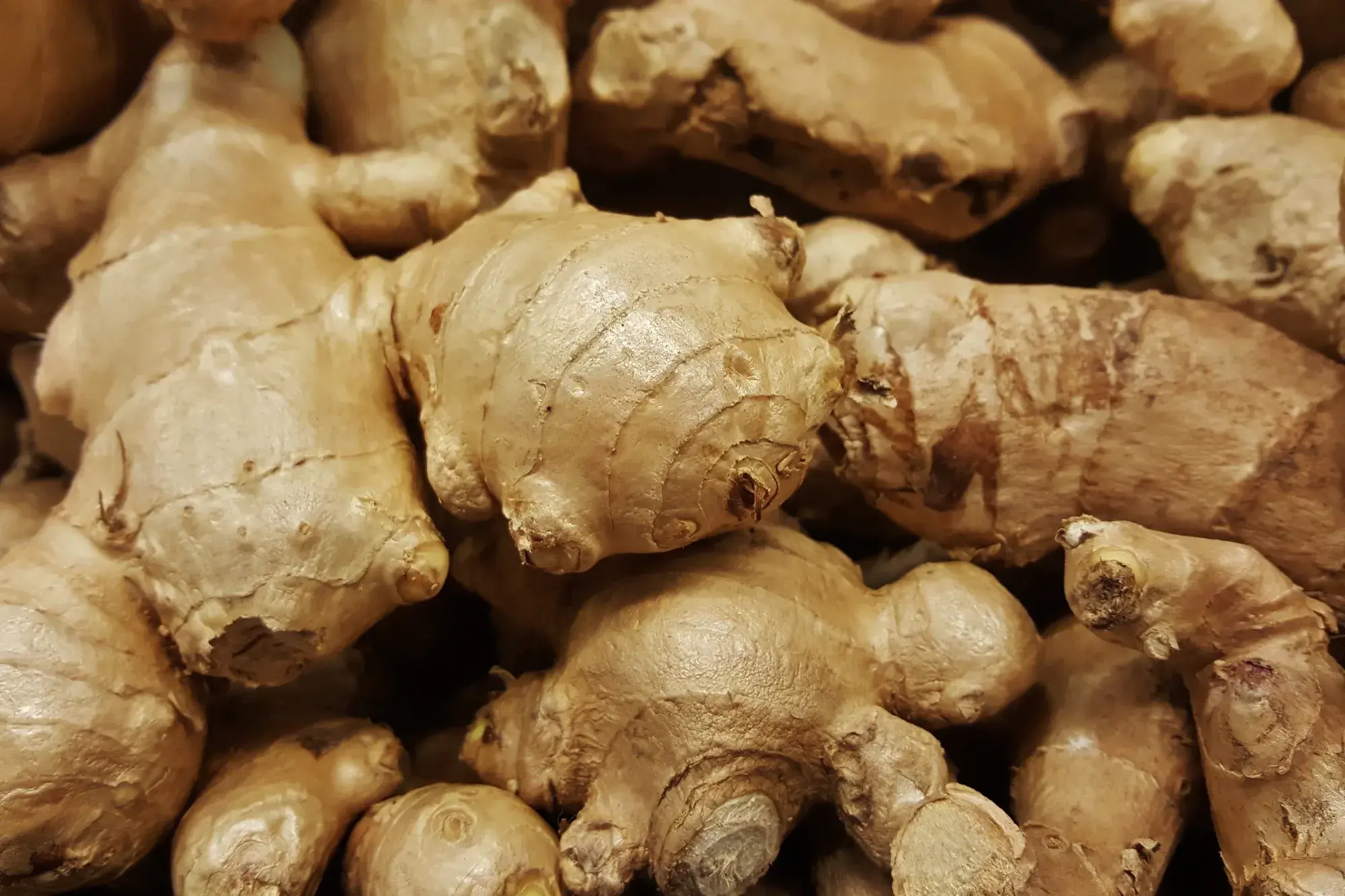 Ginger (ขิง) Ginger (ขิง)