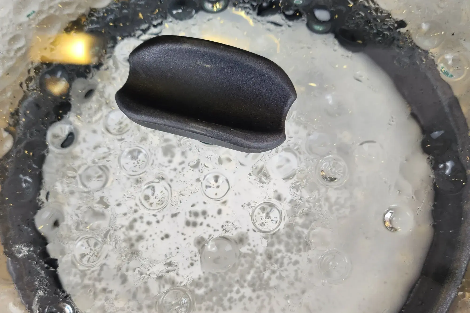 Steam with the lid on for 2–3 minutes.