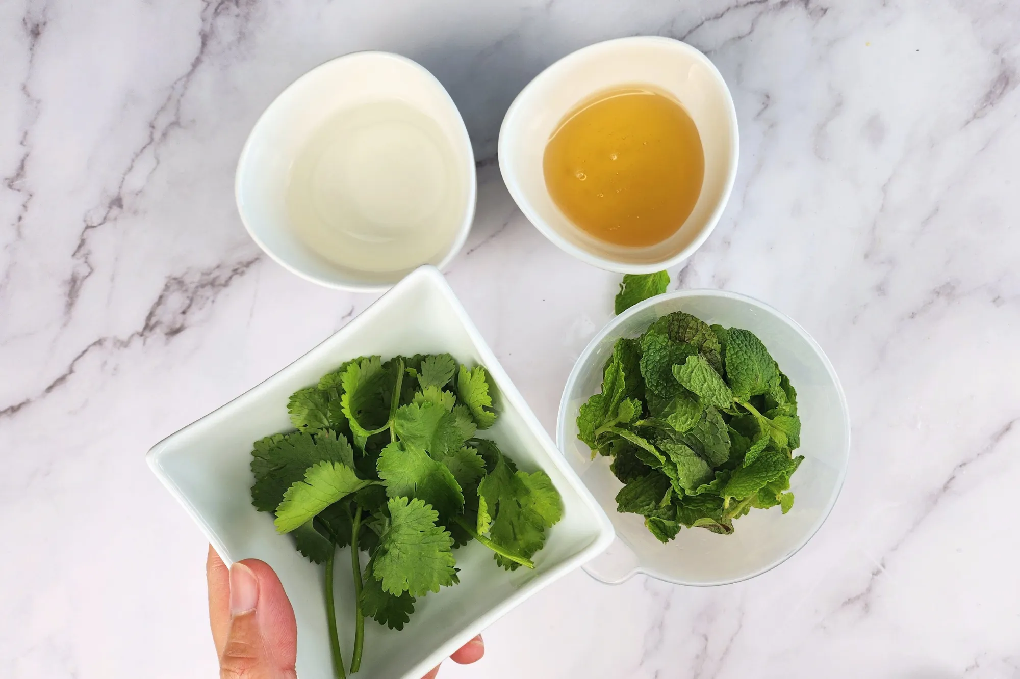 A hand is holding a bowl of cilantro is above a mixing jar surrounded with vinegar and honey.