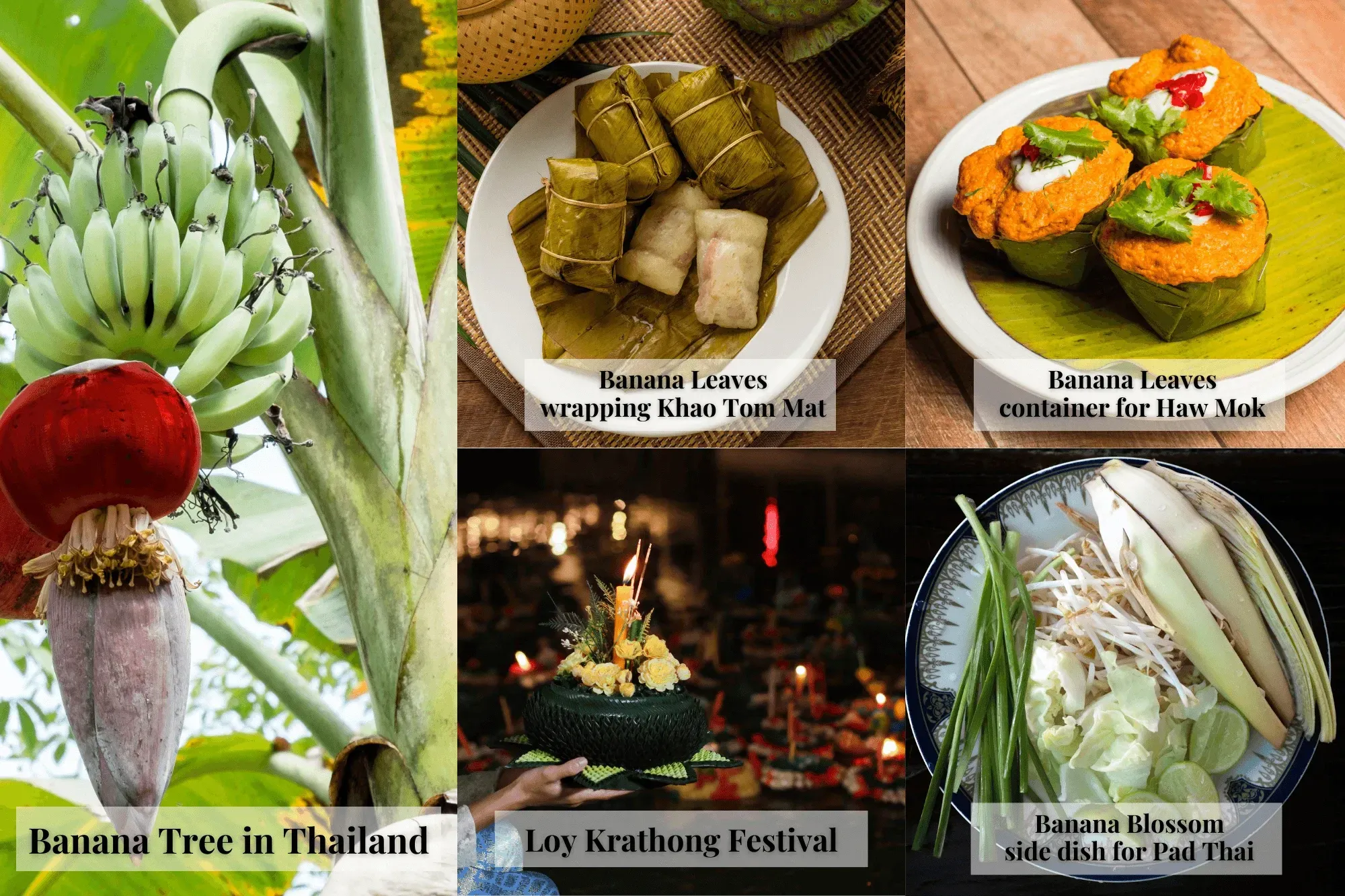About Thai Banana
