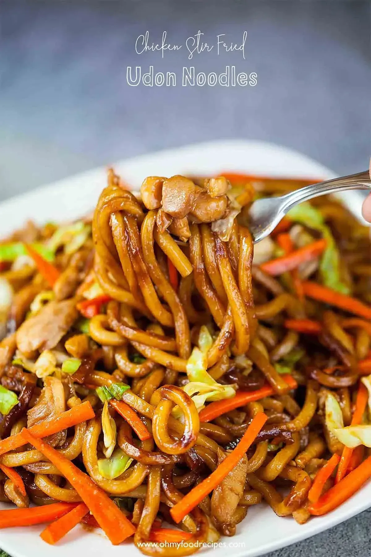 A bowl of Chicken Udon Stir Fry