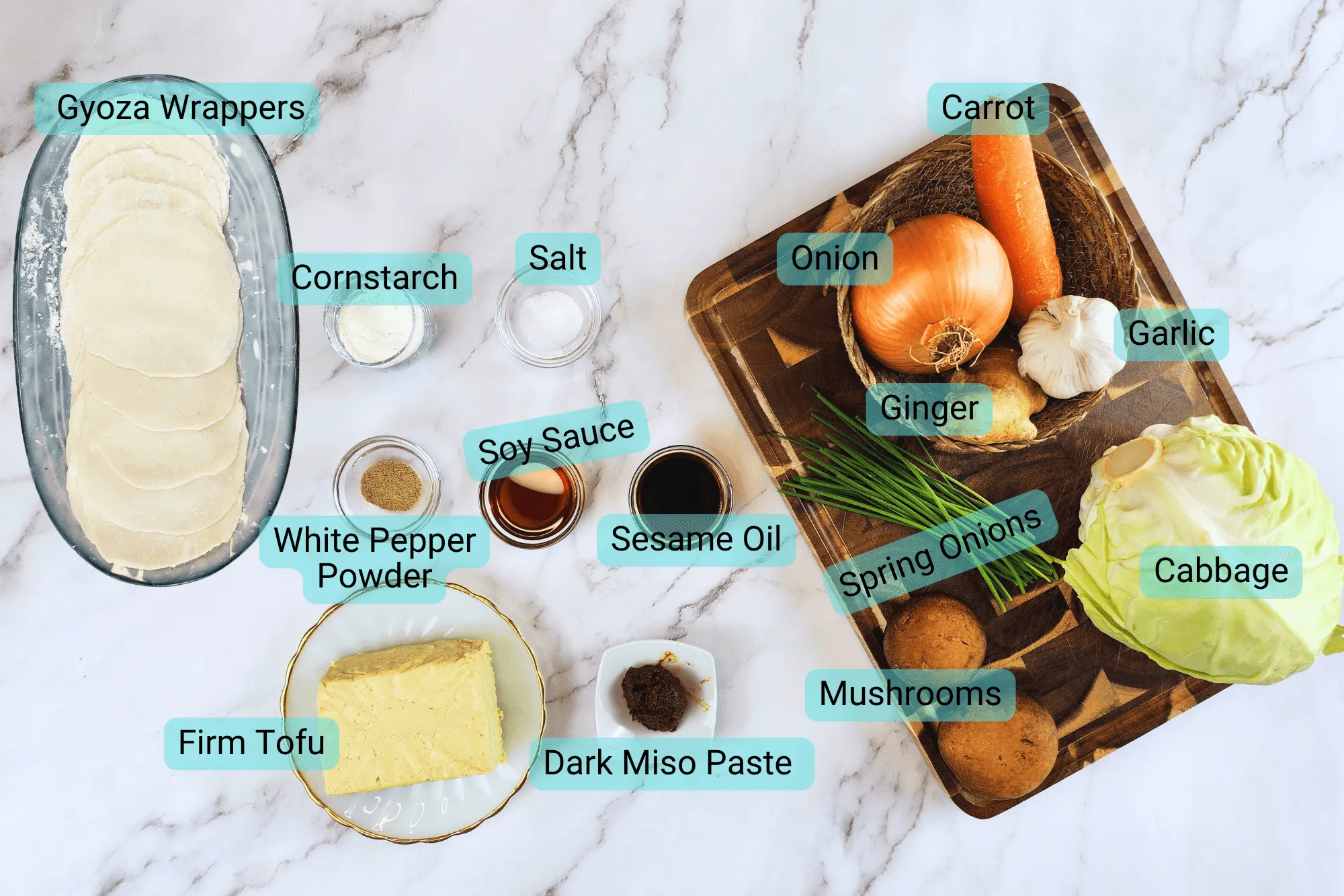 Ingredients for Homemade Vegetable Gyoza