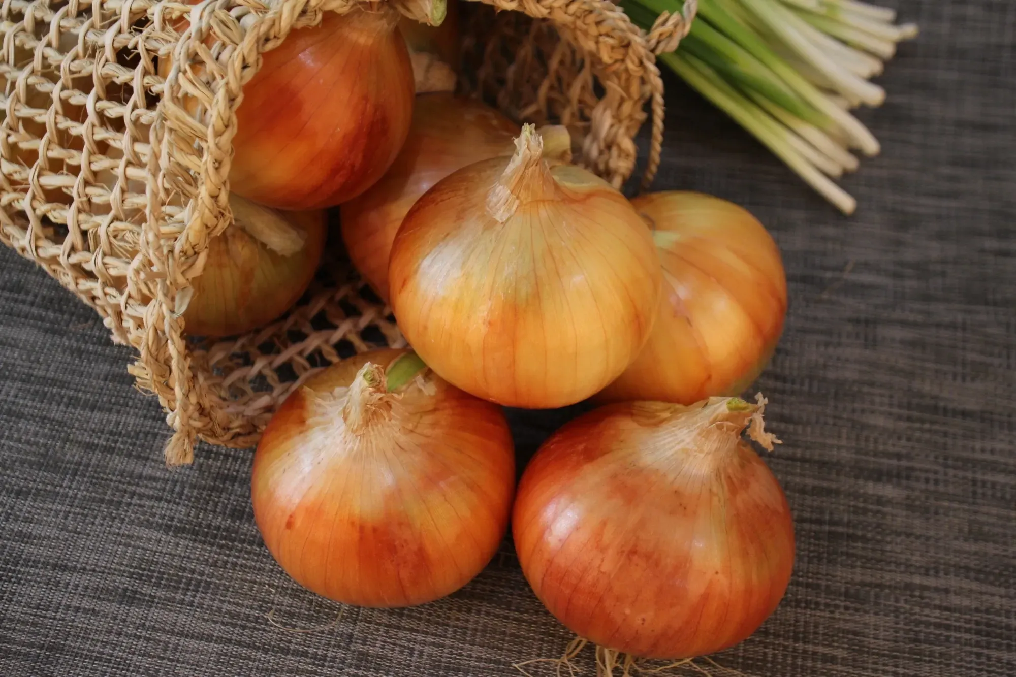 Onion (หอมใหญ่) Onion (หอมใหญ่)