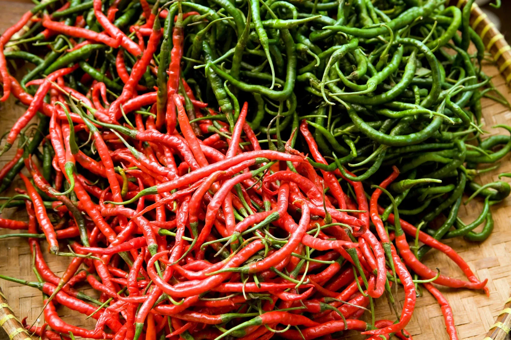 Thai Chili Peppers Thai Chili Peppers