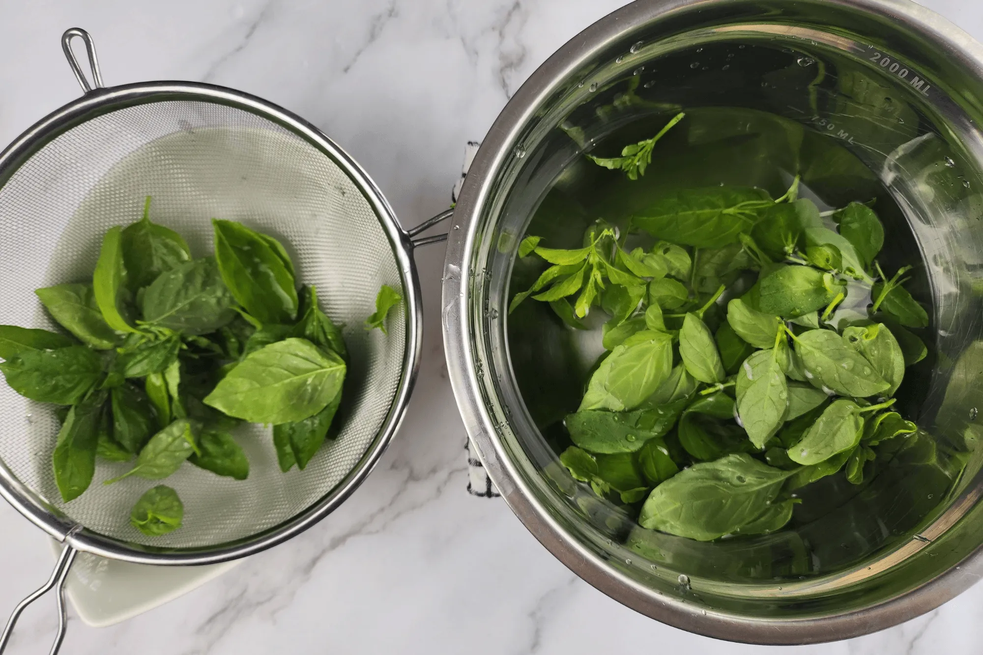 Wash and separate the holy basil leaves.